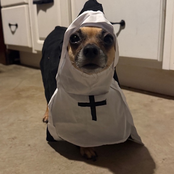 kermiega